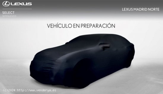  Lexus UX 2.0 250h Luxury - Madrid 